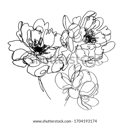 vector peony flowers. abstract flower illustration. hand drawn one line flower drawing. botanical art.
