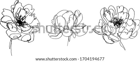set of peony flowers illustration. hand drawn continuous line drawing of abstract flower. peony icon.