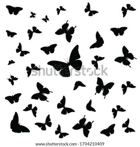 Many different butterflies in one picture
