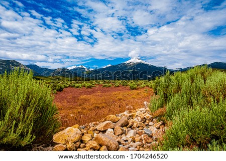 Wheeler Peak looms above a colorful spring meadow at Great Basin National Park, Nevada