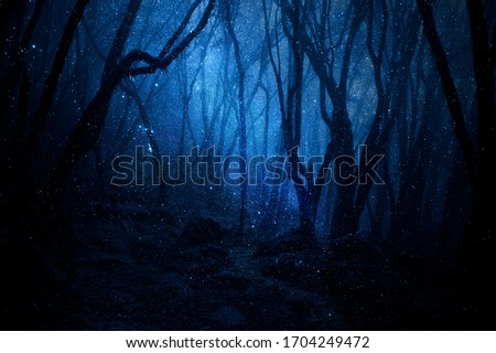 Magic forest with points of light