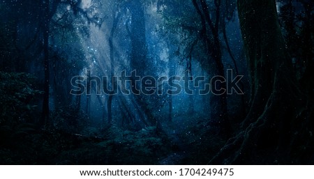 Magic forest with points of light