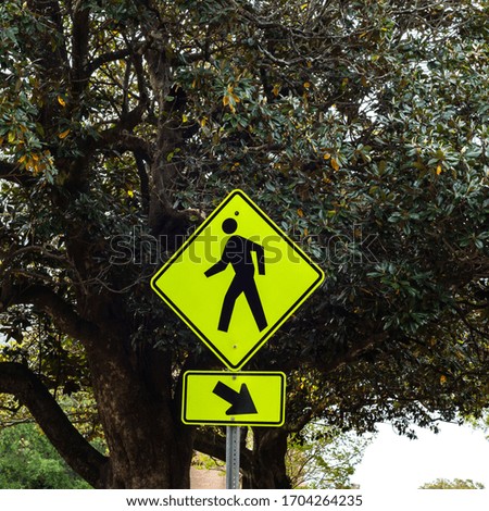 Pedestrian crossing sign and arrow with a magnolia tree in the background