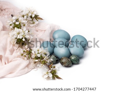 Blue eggs on a pink shawl with a branch of cherry blossoms, eggs painted with natural dye-red cabbage juice