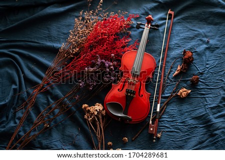 Violin and bow put beside dried flower on grunge surface background,vintage and art tone,classic style.