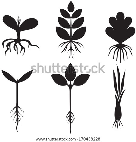 Silhouette black and white image sprout set Royalty-Free Stock Photo #170438228
