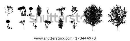 Set of Plant, Tree, Foliage Elements Silhouette Vector Illustration