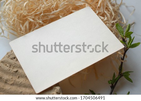 card mockup. concept photo.  stationary branding mockup with clay and fresh leaves