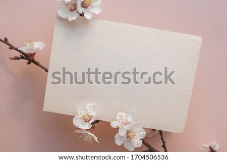 Minimalistic invitation card mockup with cherry branch, flower, blossom, flat lay, top view
