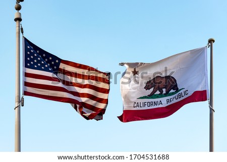 California Flag with symbols star and bear