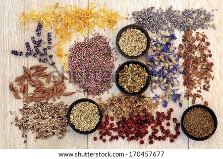 Medicinal herb selection also used in witches magical potions over wooden background.