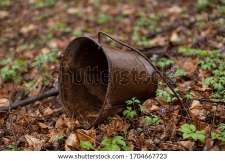 rusty bucket in a dark forest Royalty-Free Stock Photo #1704667723