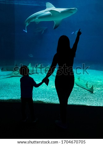 
Mom shows her son sharks in an aquarium