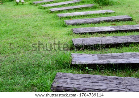 Walkway in garden. Closeup of a wooden pathway in the green grass.