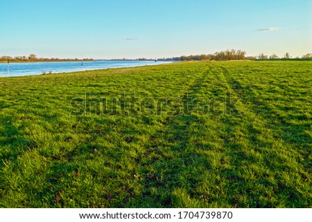 scenic wide angle background picture of a green meadow with tracks of a car next to the river Weser at the island Elsflether Sand (district Wesermarsch, Germany)