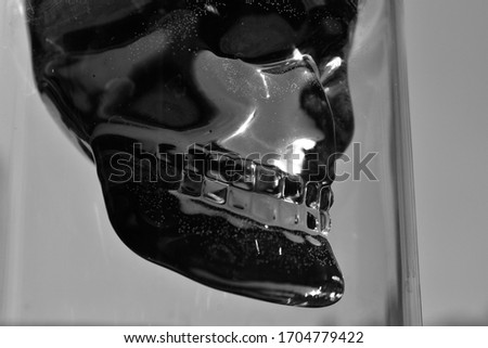 glass skull black and white photography