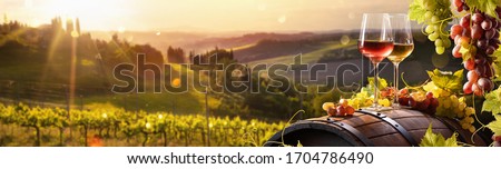 Glass Of Wine With Grapes And Barrel On A Sunny Background. Italy Tuscany Region Royalty-Free Stock Photo #1704786490