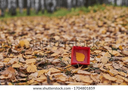Gift box with autumn leaf. New season concept, copy space. Weather forecast change symbol