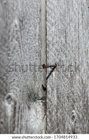 A rusty nail in an old wooden plank . To use as a background. Selective focus