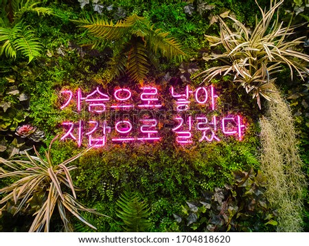 Korean language neon sign. It means 'Gave birth to the chest and raised it with a wallet..'
A glowing neon sign that is often used in shop interior design.