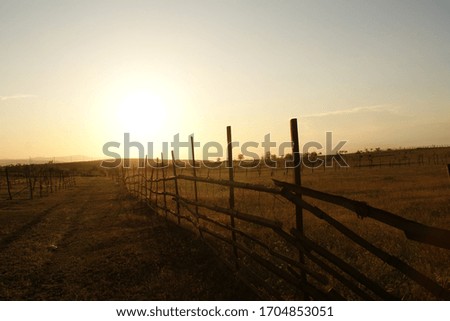 Amazing bright sunset  Over Field Or Meadow. Bright Dramatic Sky And Dark Ground. Countryside Landscape Under Scenic Colorful Sky . Warm Colors.  Royalty-Free Stock Photo #1704853051