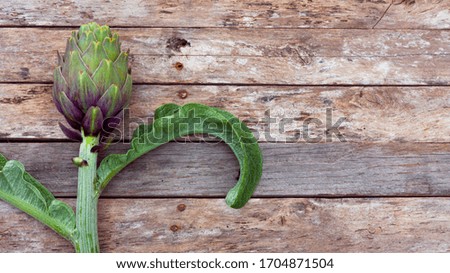 Artichokes on wooden rustic background with space for text. Fresh vegetables for healthy life. Close up of artichokes