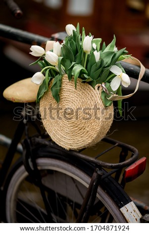 City bicycle with a basket full of fresh spring white tulips