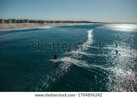 Surfing in Los Angeles. LA. California. Summer. Ocean. Beach. 