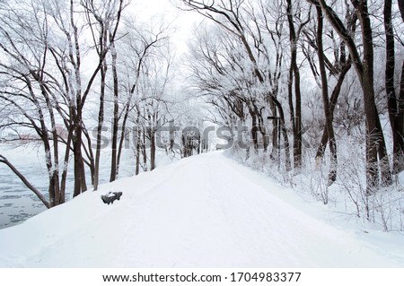 Snow trail in the park Royalty-Free Stock Photo #1704983377