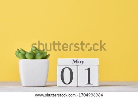 Wooden block calendar with date May 1 and succulent plant in pot on yellow background. Labor Day concept