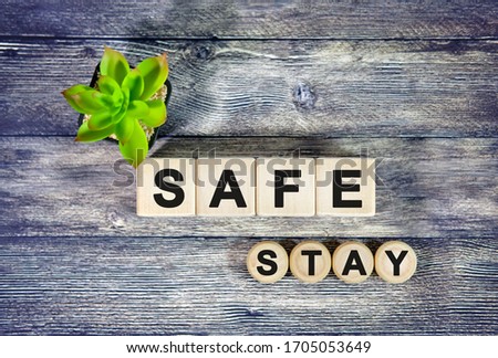 STAY SAFE - text on wooden cubes, green plant in black pot on a wooden background
