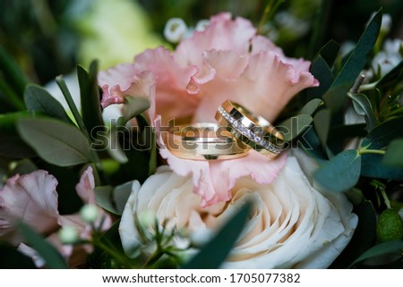 Close up picture of the white and yellow gold wedding rings with round diamond placed on the light coral rose, peach color rose and dark green leaves on the background
