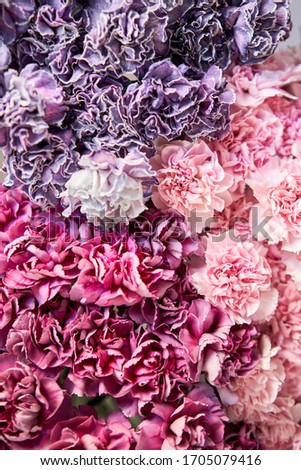 Closeup Bunches of carnation flowers different varieties in vases. Lovely Vintage background with flowers. Wallpapers.
