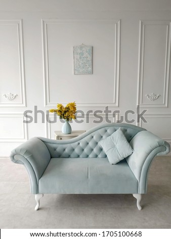 vintage blue sofa on wooden legs with a small pillow and a vase with a Mimosa branch
