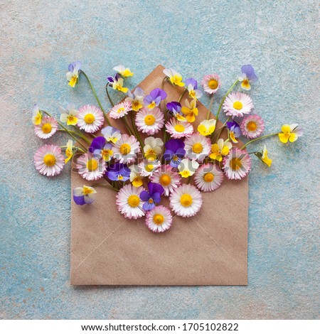 Envelope with flowers daisies and pansies on a colored background.