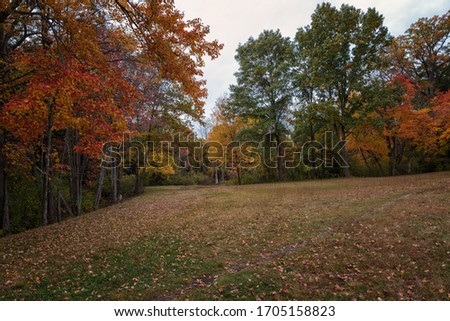 Autumn Landscapes in Massachusetts, USA