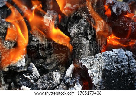 Bonfire. Orange flame of a fire. Royalty-Free Stock Photo #1705179406