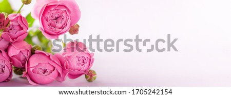 Fresh bunch of Beautiful pink flowers roses bouquet on background, copy space for text. Banner for Mother's Day