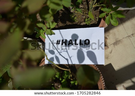 The word Hallo written on white paper and kept on plants