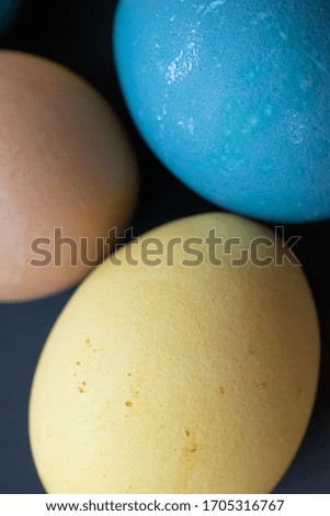 A close up portrait shot of dyed Easter eggs against a black background. Each egg is a different color and speckled