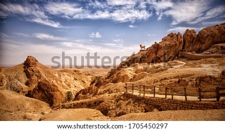 Mountain oasis Chebika, Sahara desert,The Peak Of The Mountain In The Desert With The Sculpture Of A Mountain Goat And An Oasis Below Tunisia, Africa Royalty-Free Stock Photo #1705450297