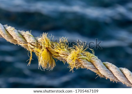 Frayed rope near to break on blue sea water background. Selective focus. Royalty-Free Stock Photo #1705467109