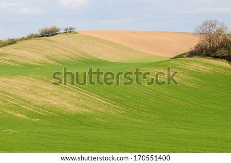 Picture of cultivated agricultural landscape.