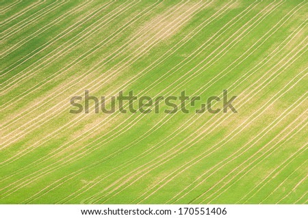 Picture of regularly shaped agricultural land.