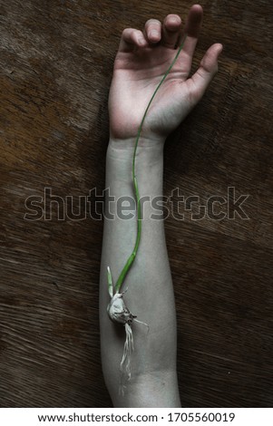 garlic sprout on hand, still-life with hand and garlic on the old table