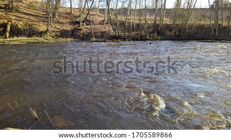 River flow in the wild forest in the daytime
