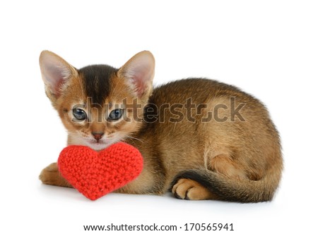 Valentine theme kitten with red heart isolated on white background