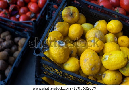 Rotten fruits and vegetables (lemons and tomatoes) Royalty-Free Stock Photo #1705682899