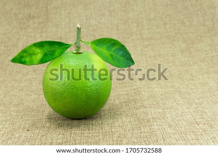 Citrus Fruit, Composition with leaves on brown fabric background