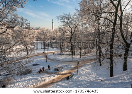 Sunny winter day in a city park. A view of the Freedom Monument and snow covered trees.